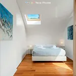 Bay View Home, Terremarine